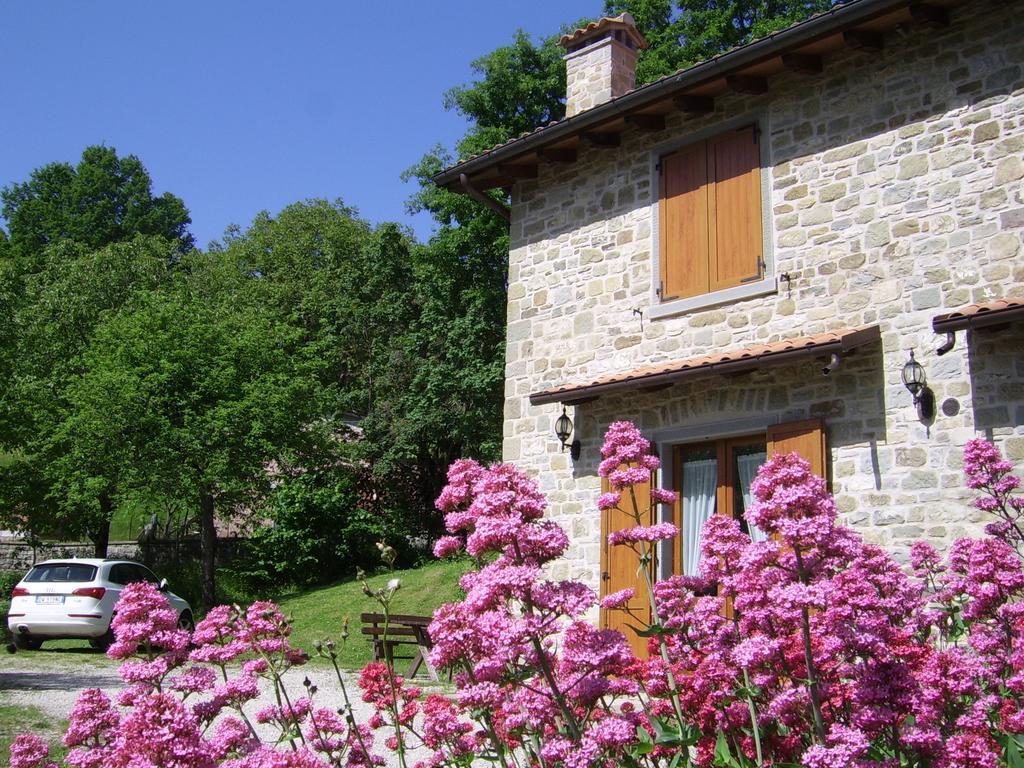 Agriturismo Il Falco Del Monte Fumaiolo Alfero Экстерьер фото